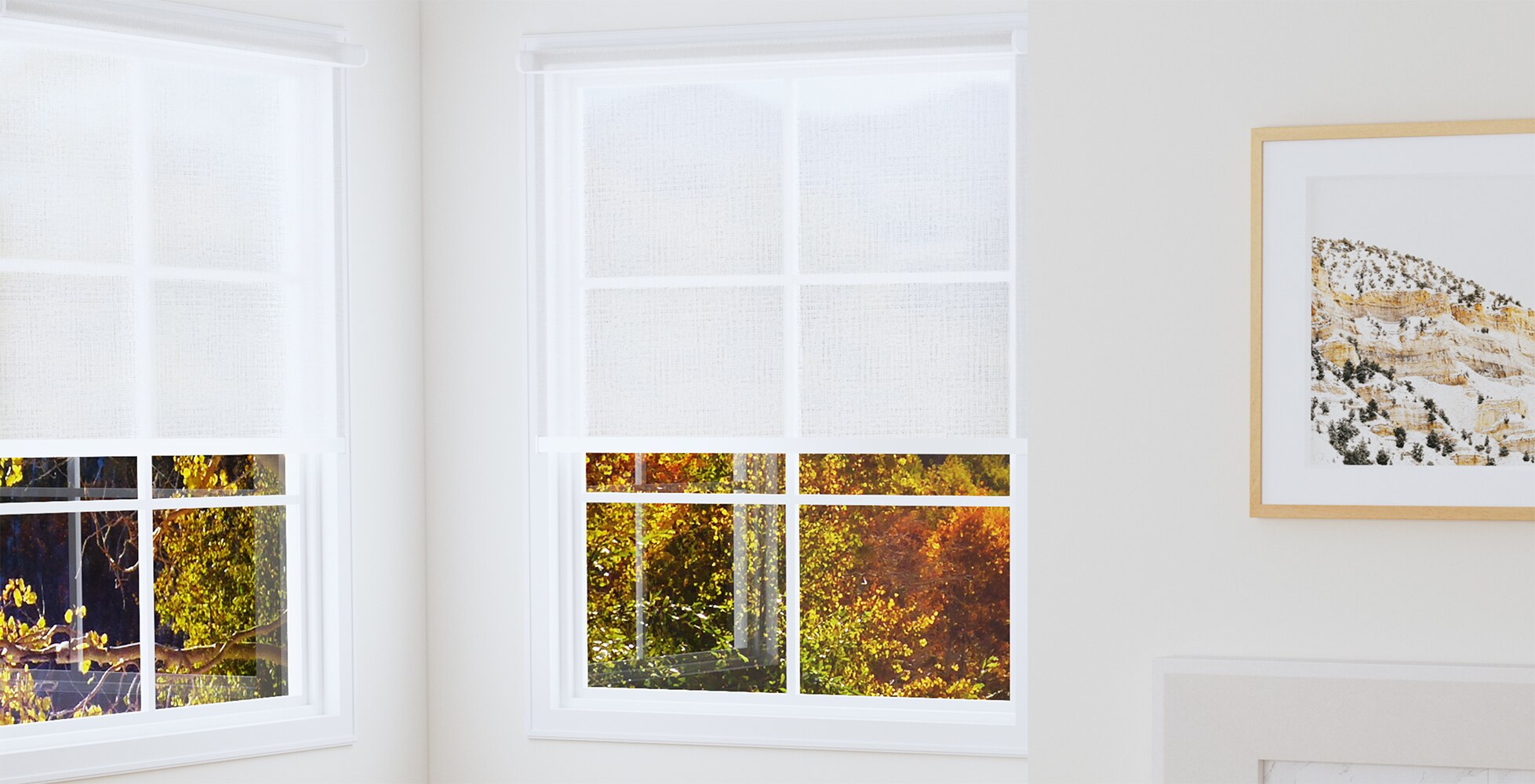 Basic Solar Roller Shades